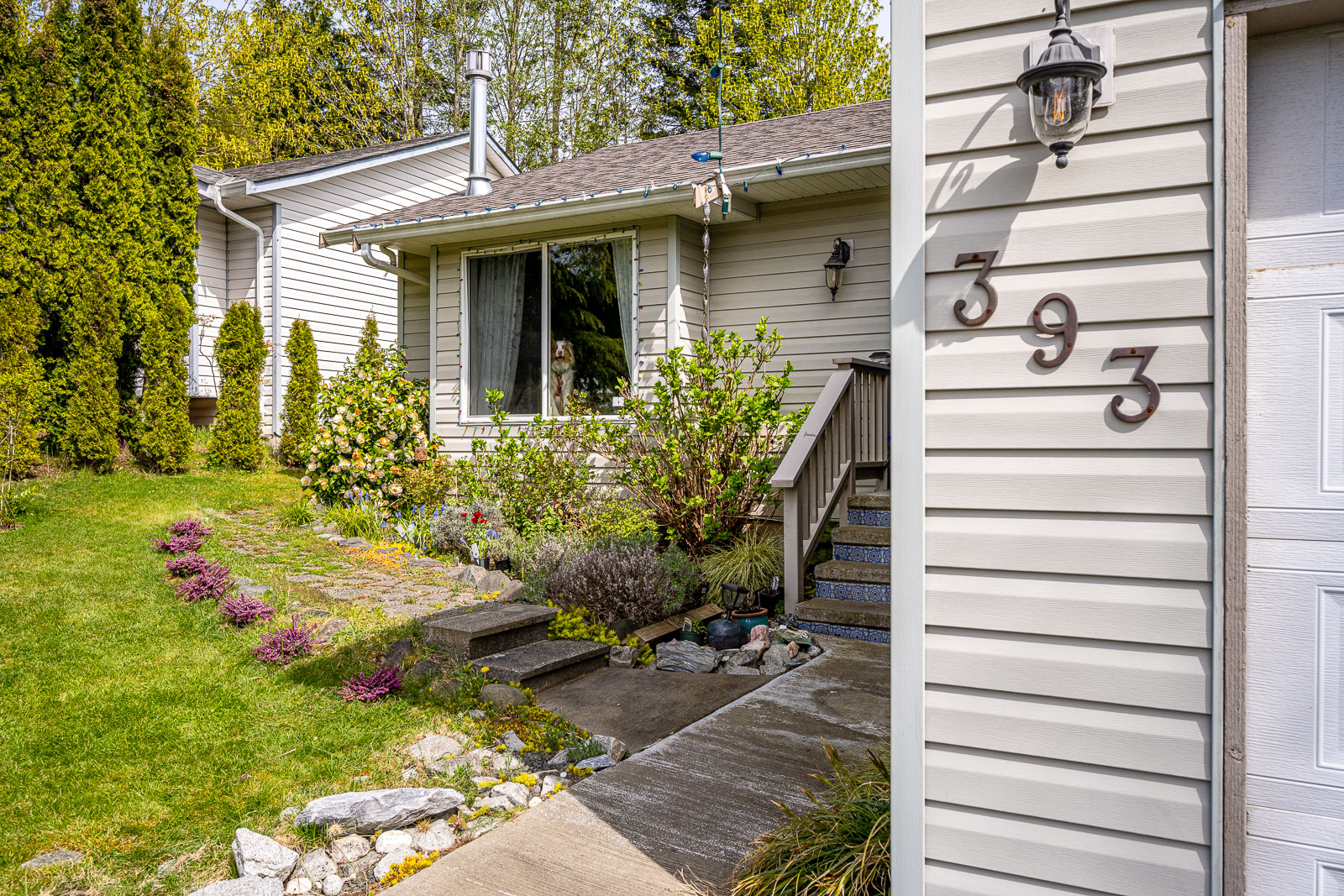 393 Candy Ln (11)