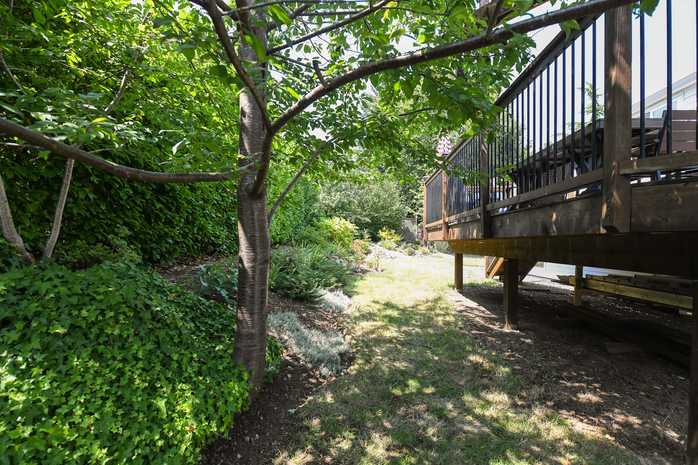 1019arrowsmith-09