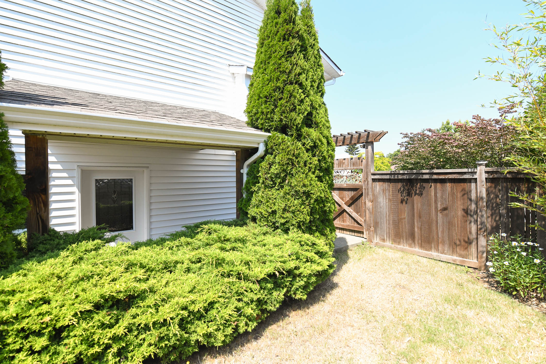 1019arrowsmith-63